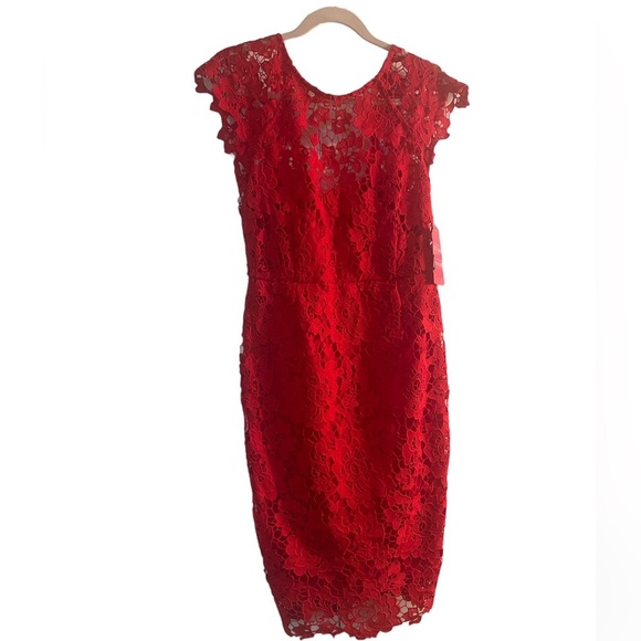 Paper Dolls London Lace Dress with Scallop Back Red Size 8 US, UK 12 , EU 40 - Picture 6 of 9
